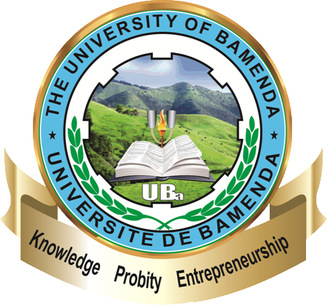 partner Université de Bamenda